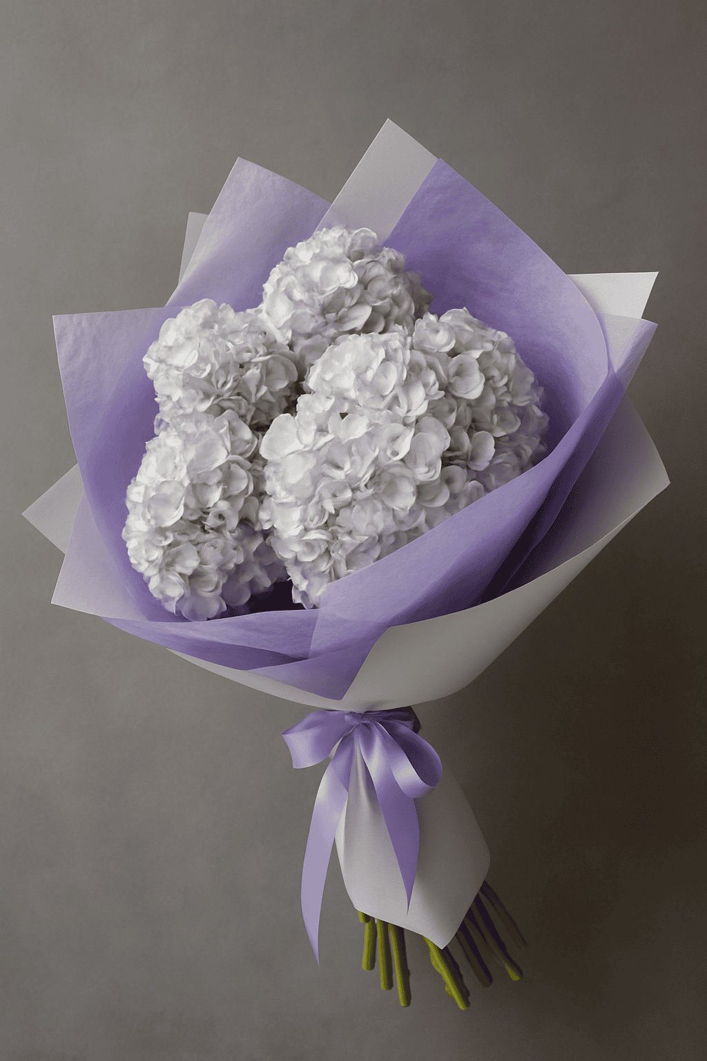 Purple Clouds of Hydrangea
