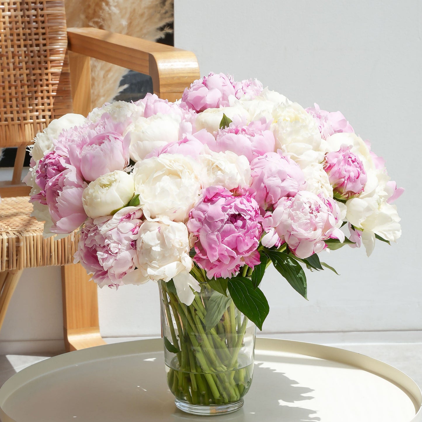 الفاوانيا المختلطة