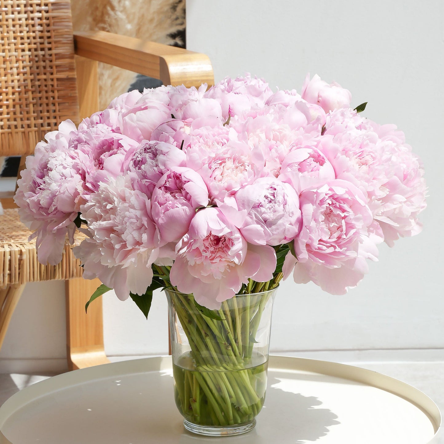 الفاوانيا الوردية