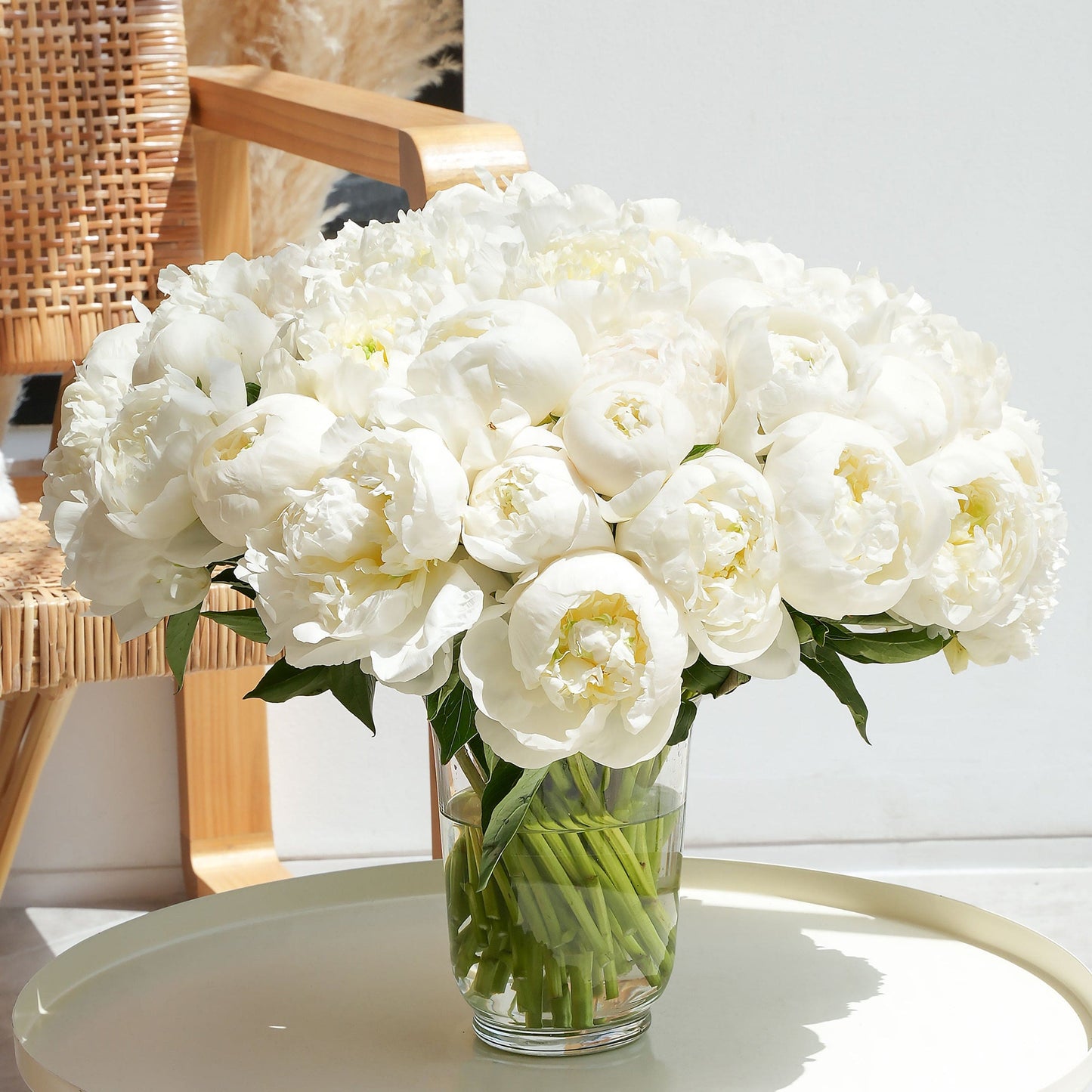 الفاوانيا البيضاء