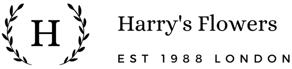 Harrys Flowers London