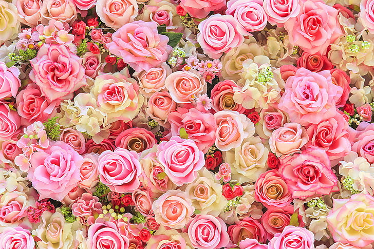 Harry's Flowers