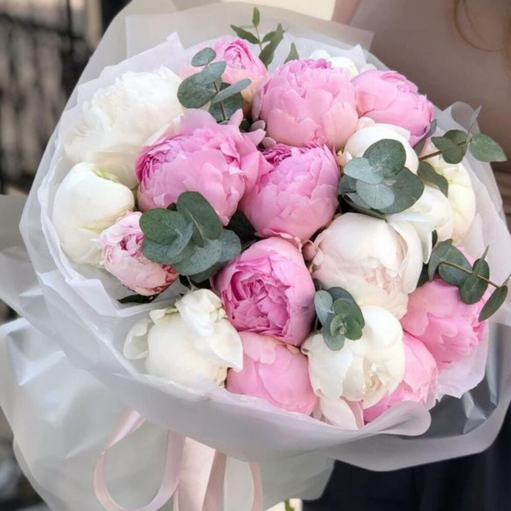 الفاوانيا المختلطة Handtied