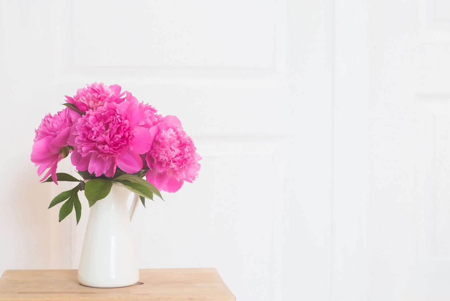 Pink Peony in vase