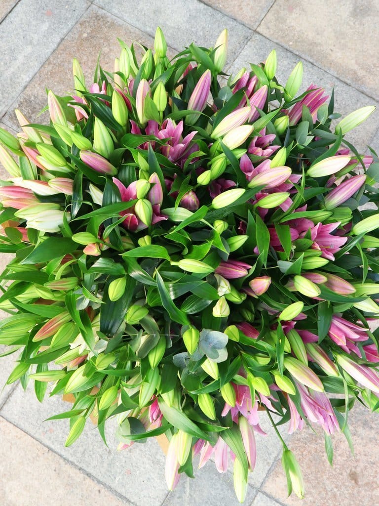 10 Pink Lily Hand-tied - Harrys Flowers London