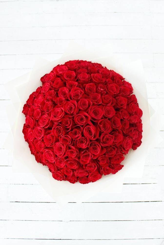 100 Blooming Love Roses - Harrys Flowers London