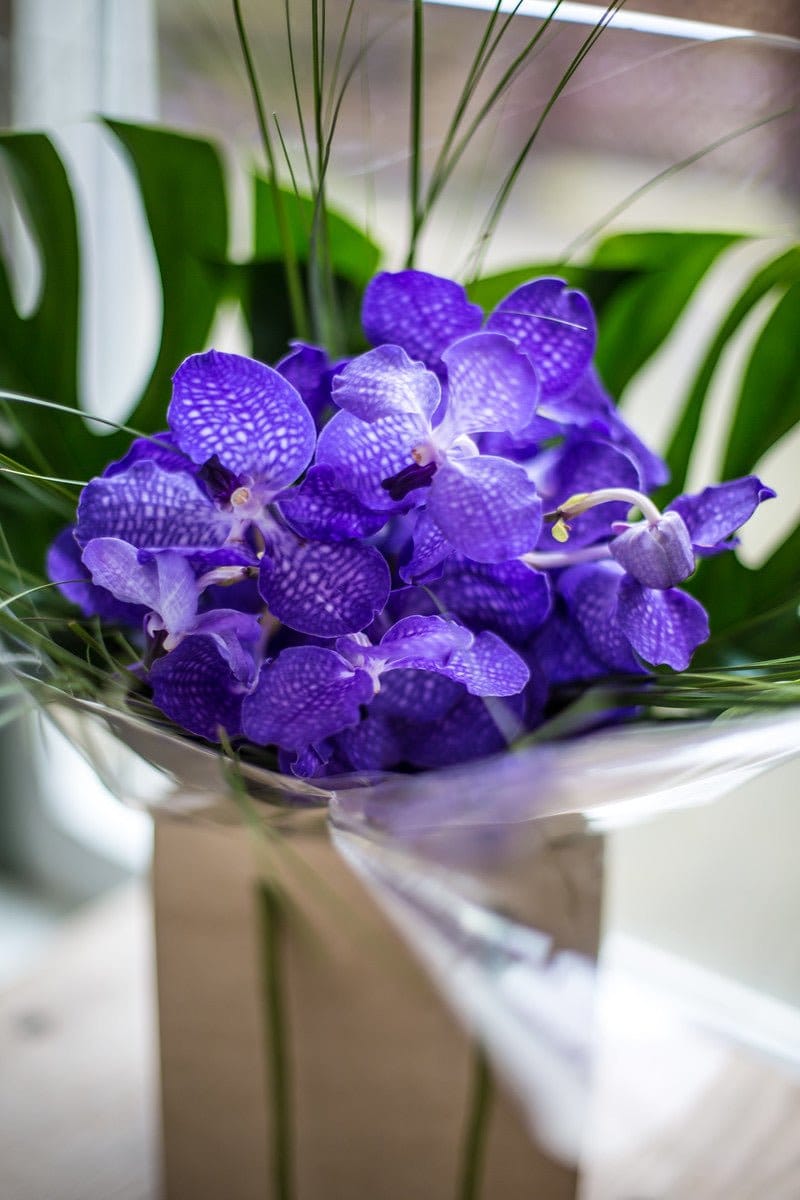 £40.00Mixed Hand Tie of Premium Flowers - Harrys Flowers London