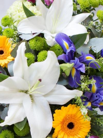£50 Mixed Hand Tie Of Premium Flowers - Harrys Flowers London