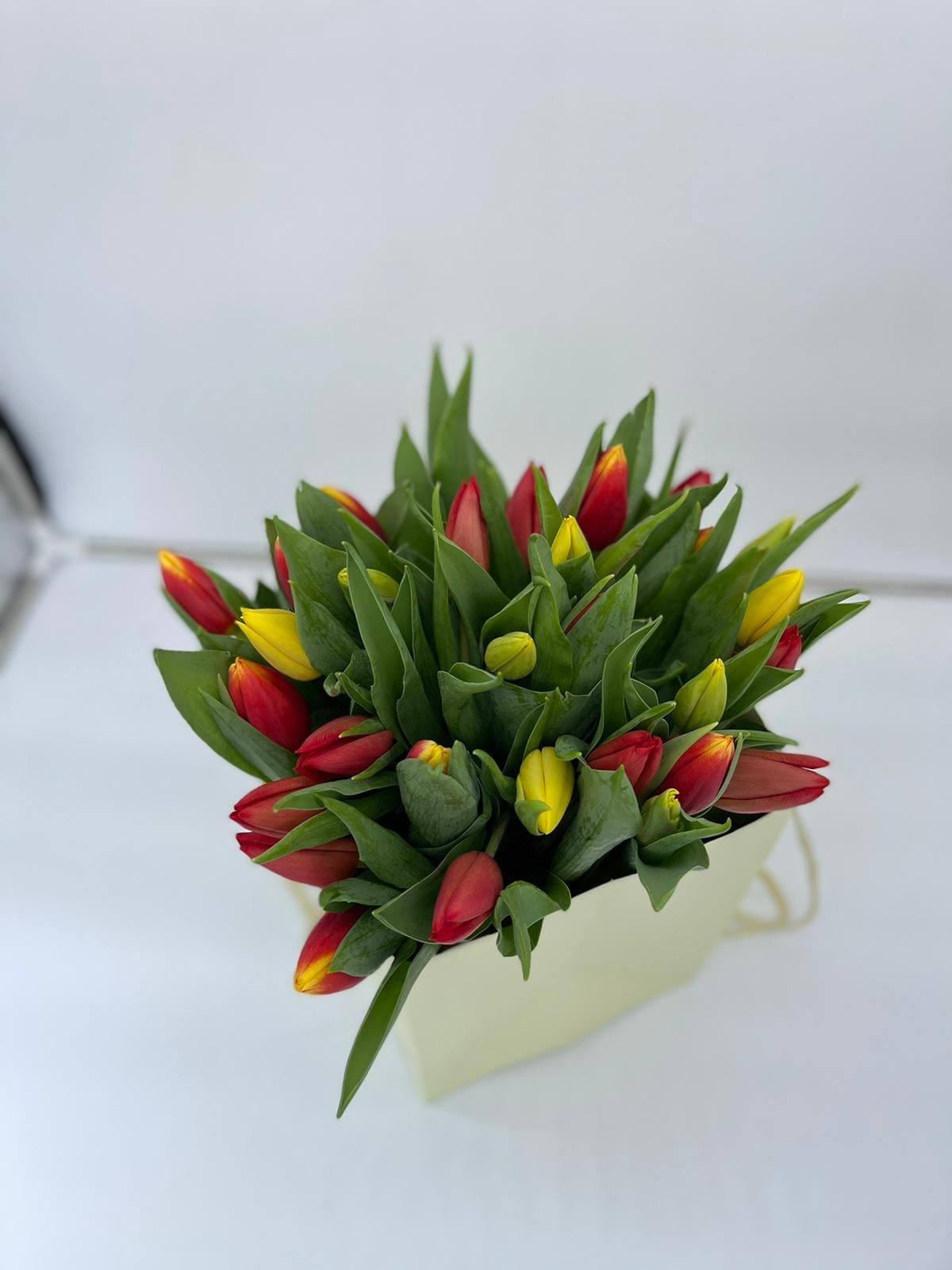 Tulipes mélangées Spring Bliss