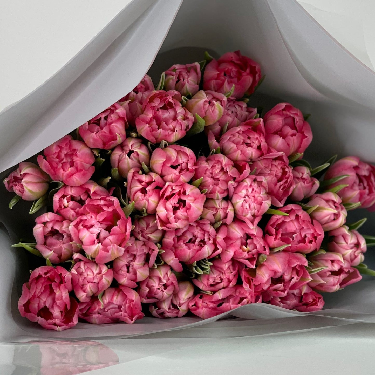 Baby Pink Double Delight Tulip Bouquet