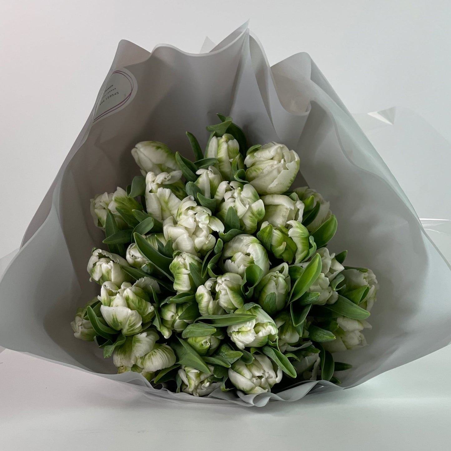 Majestic Frilled Parrot Tulips