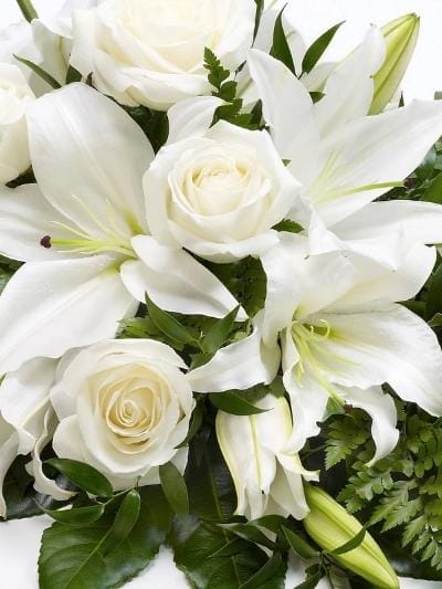 Rose and Lily Spray White - Harrys Flowers London