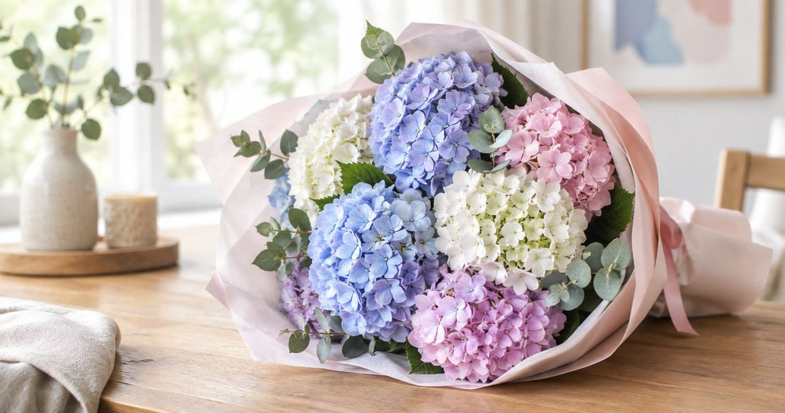 Best hydrangea bouquets for a pastel gift