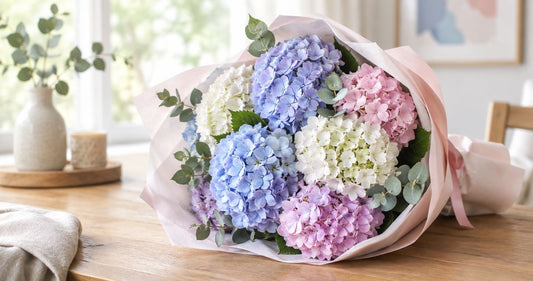 Best hydrangea bouquets for a pastel gift
