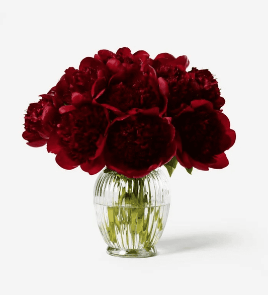 باقة الفاوانيا الحمراء الساحرة