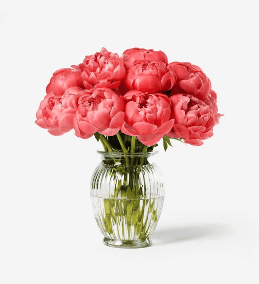 باقة كورال صن سيت الفاوانيا