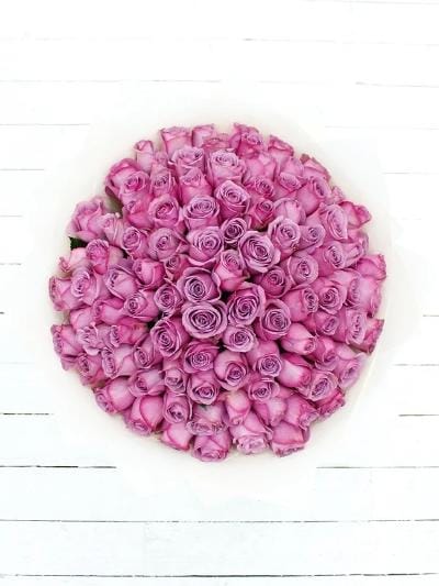 100 Long Stem Purple Rose Hand-Tied - Harrys Flowers London