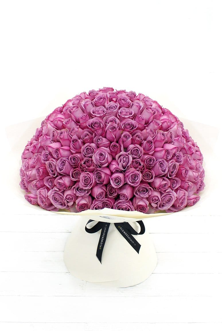 Exquisite Love: 200 Long Stem Purple Rose Hand-tied – Harrys Flowers London