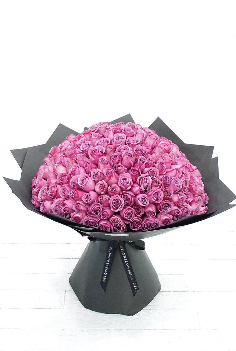 200 Long Stem Purple Rose Hand-tied - Harrys Flowers London