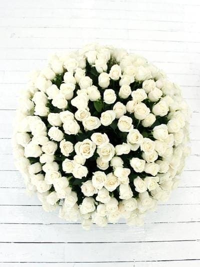 365 Days of Love - Luxury White Roses Hatbox - Harrys Flowers London