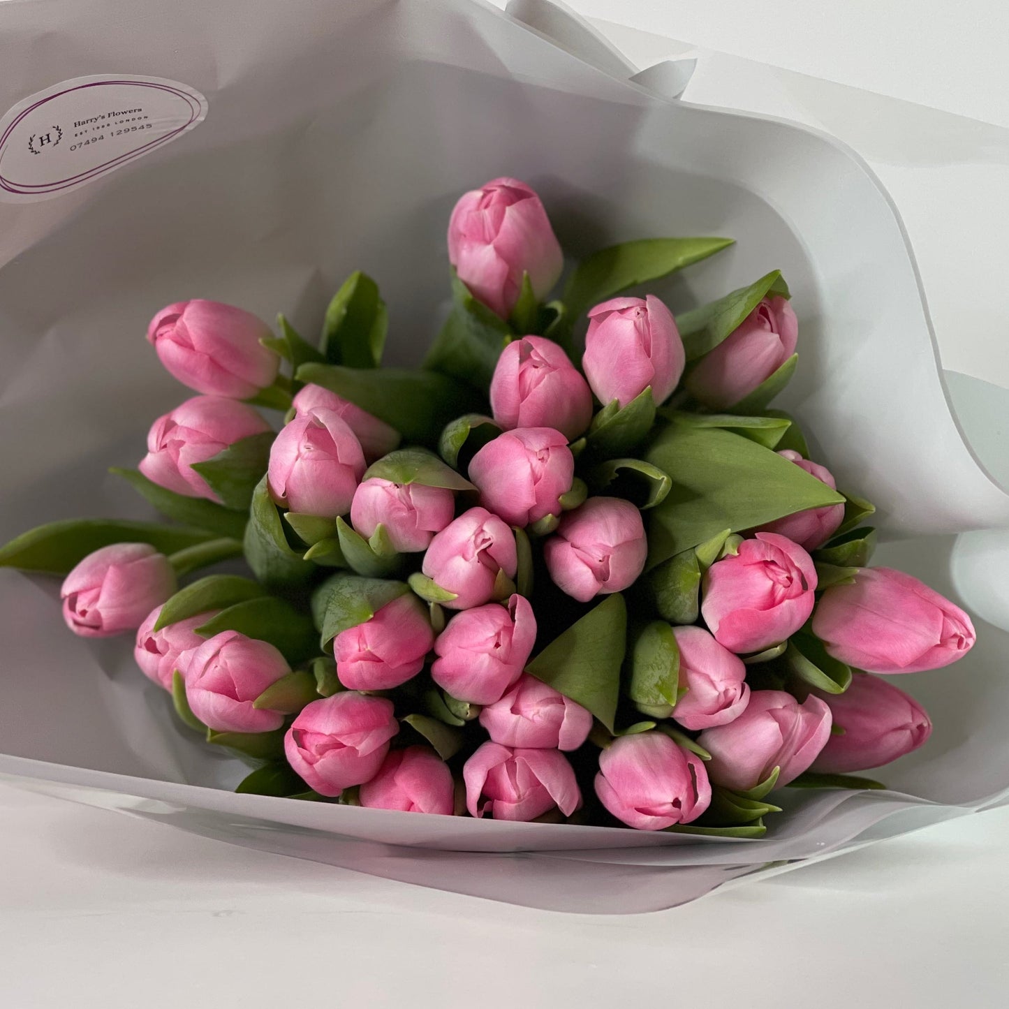 Fleurs voluptueuses : tulipes rose pâle à grosses têtes pour un éclat de printemps