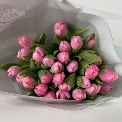 Fleurs voluptueuses : tulipes rose pâle à grosses têtes pour un éclat de printemps