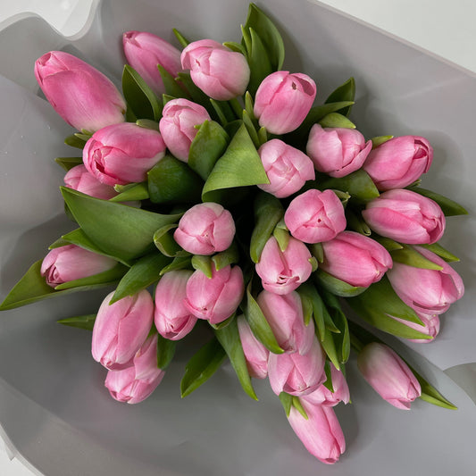 Fleurs voluptueuses : tulipes rose pâle à grosses têtes pour un éclat de printemps