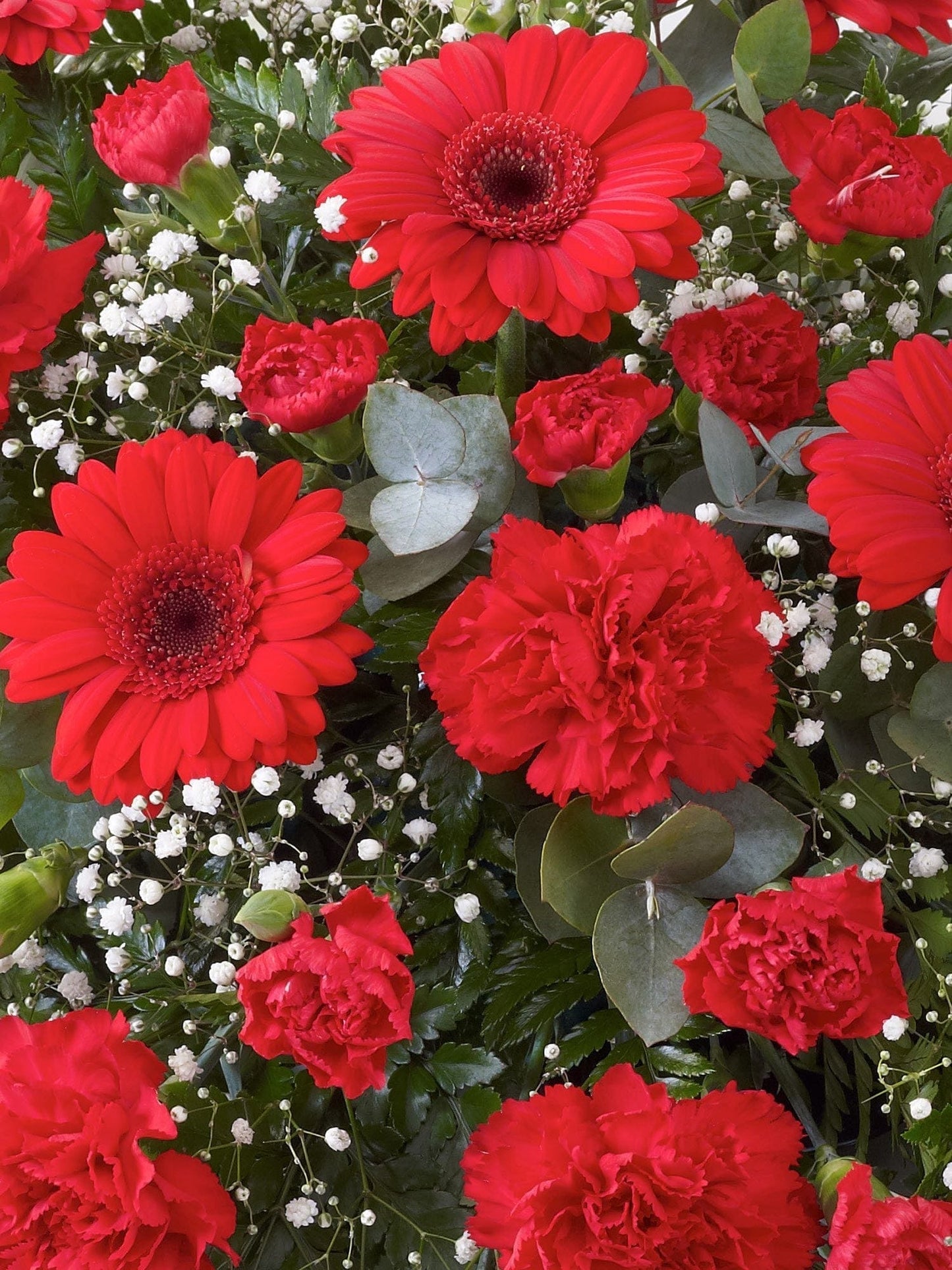 Carnation and Germini Teardrop Spray Red - Harrys Flowers London