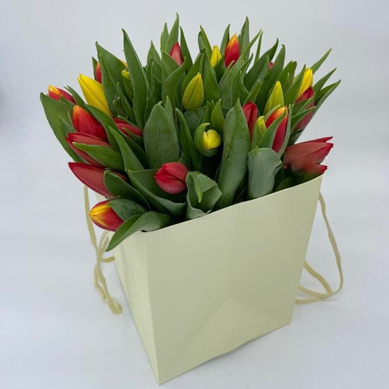 Splendeur printanière : un vibrant bouquet de tulipes hollandaises