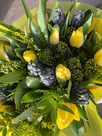 Tulip and Hyacinth spring mix