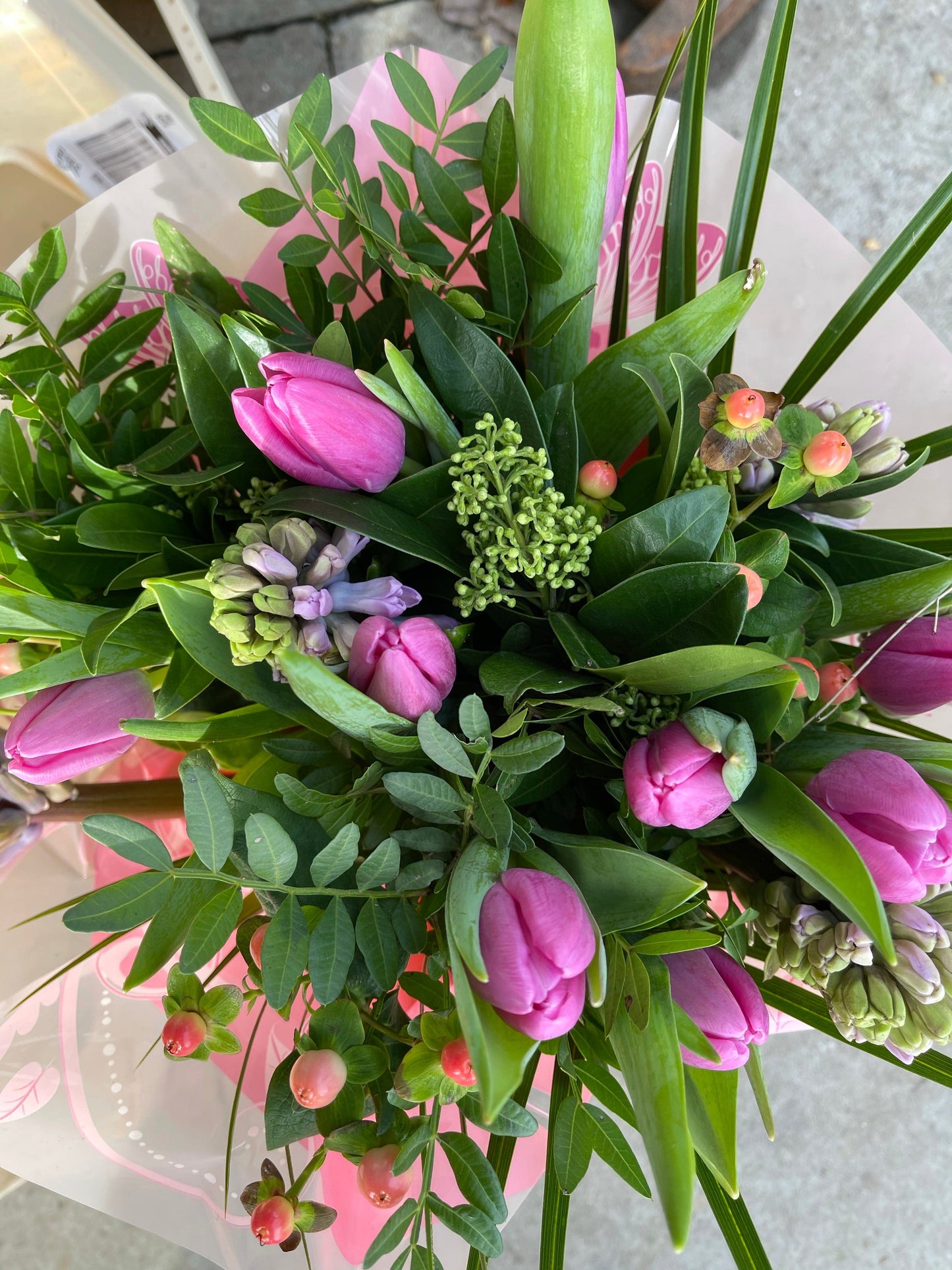 Tulip and Hyacinth spring mix