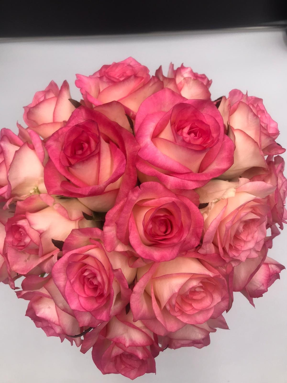 Jumilia rose hand tie - Harrys Flowers London