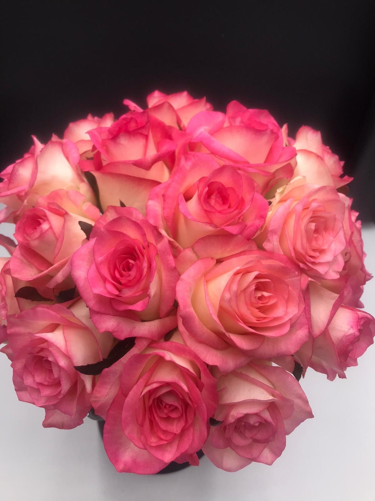 Jumilia rose hand tie - Harrys Flowers London