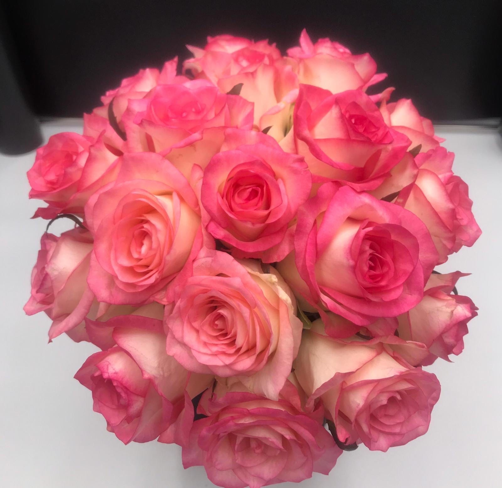 Jumilia rose hand tie - Harrys Flowers London