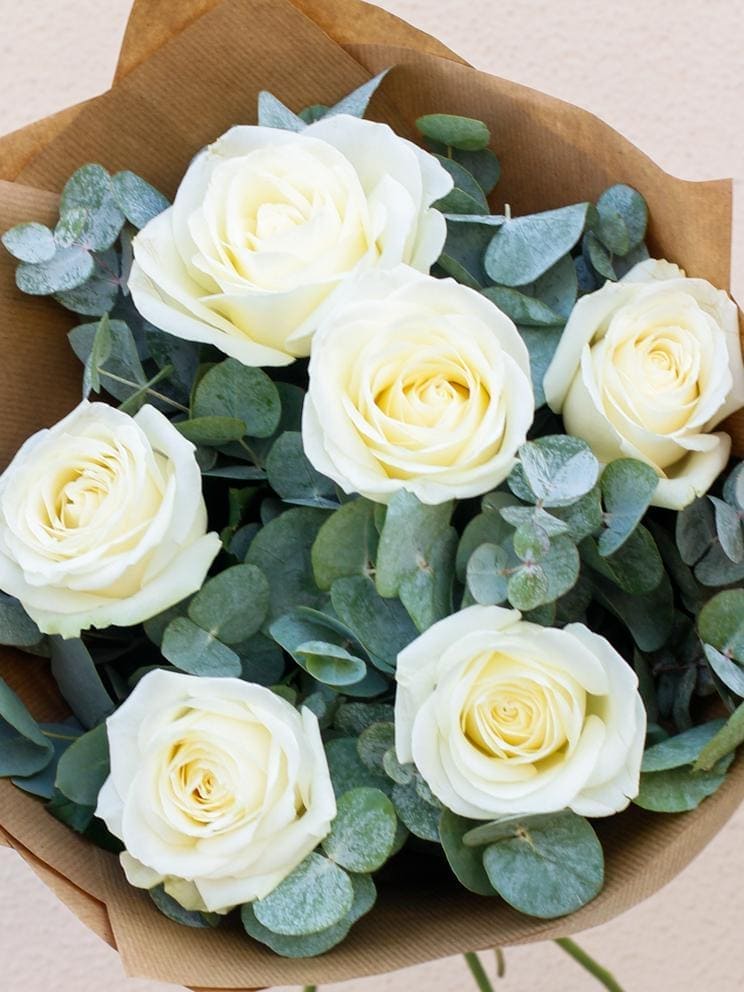 Six White Roses - Harrys Flowers London