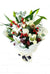 Winter Wonderland Bouquet - Harrys Flowers London